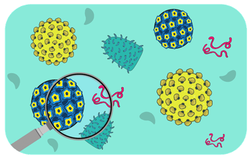 Header Graphics