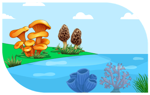 Header Graphics