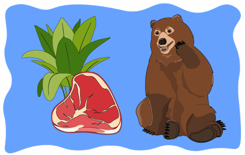 Header Graphics