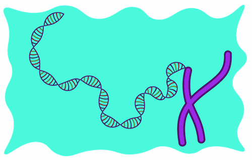 Header Graphics