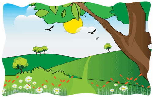 Header Graphics