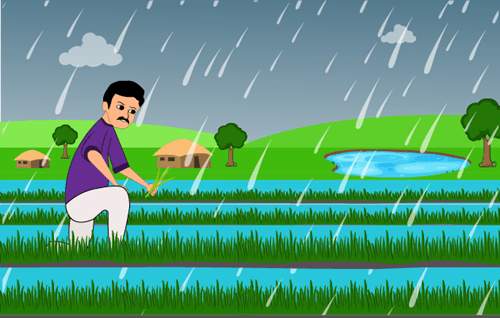 Header Graphics