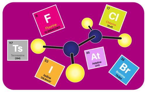 Header Graphics