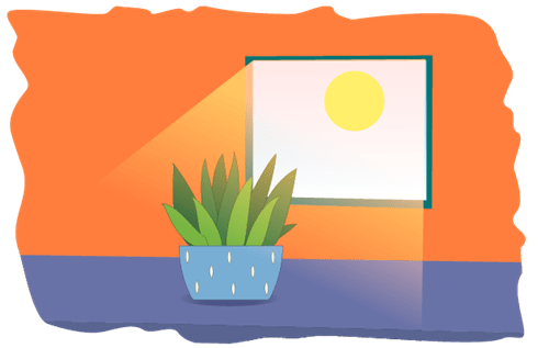 Header Graphics
