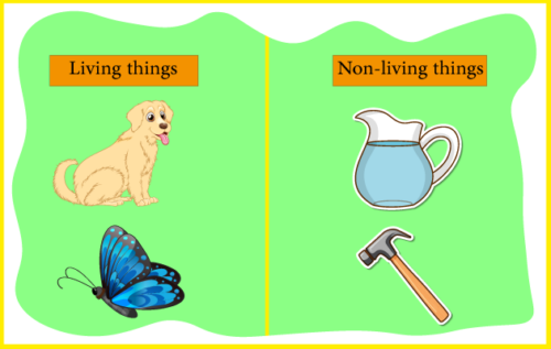 Header Graphics