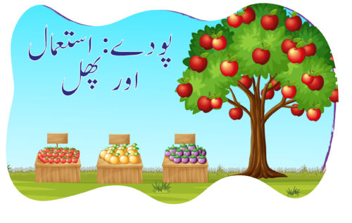 Header Graphics