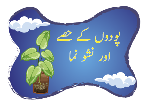 Header Graphics