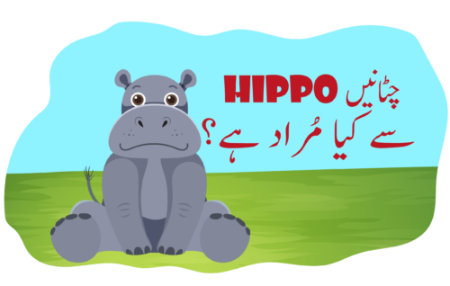 Header Graphics